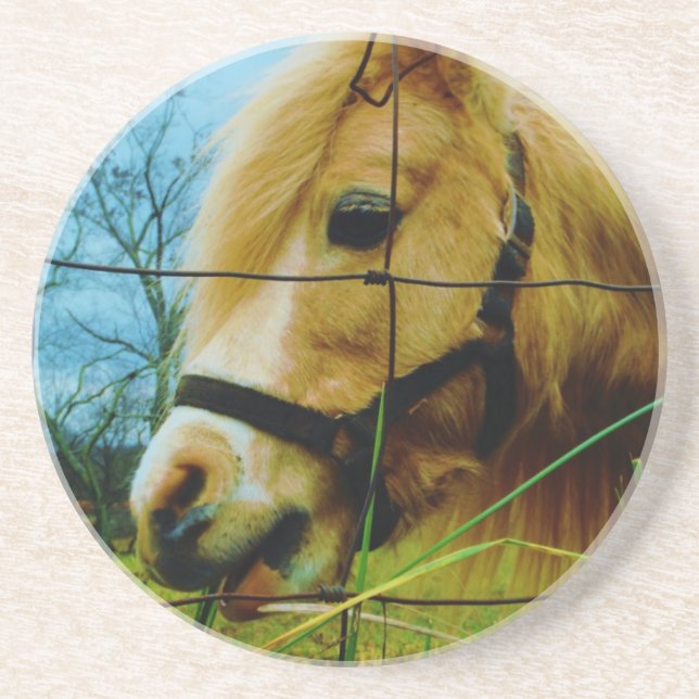 Blond Miniature Pony / Horse Blue Sky Coaster (Front)