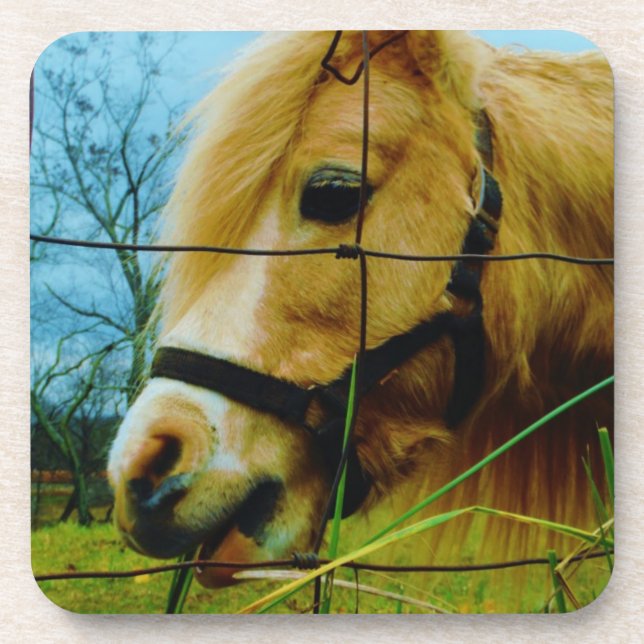 Blond Miniature Pony / Horse Blue Sky Coaster (Front)