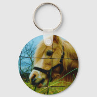 Blond Miniature Pony / Horse Blue Sky