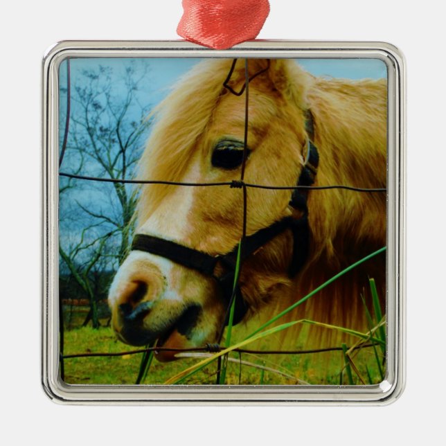 Blond Miniature Pony / Horse Blue Sky Metal Ornament (Front)