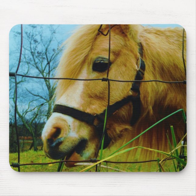 Blond Miniature Pony / Horse Blue Sky Mouse Pad (Front)