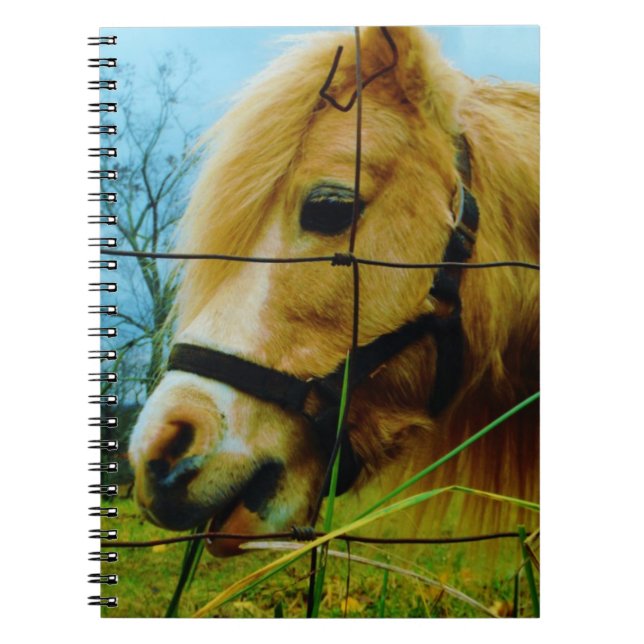 Blond Miniature Pony / Horse Blue Sky Notebook (Front)