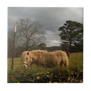 Blond Miniature Pony / Horse Ceramic Tile