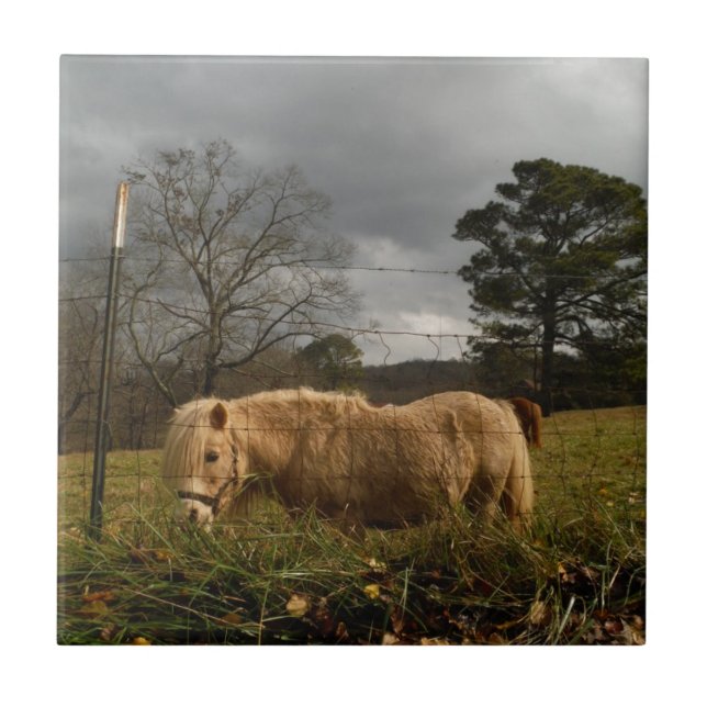 Blond Miniature Pony / Horse Ceramic Tile (Front)