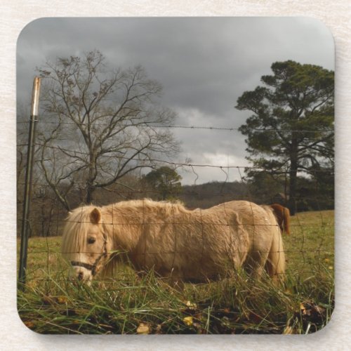 Blond Miniature Pony  Horse Drink Coaster