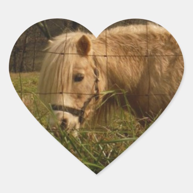 Blond Miniature Pony / Horse Heart Sticker (Front)