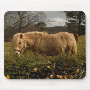 Blond Miniature Pony / Horse Mouse Pad