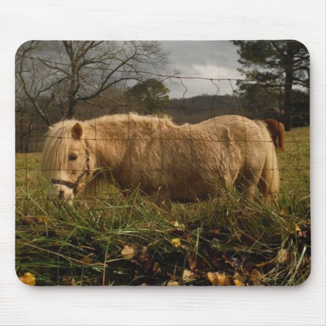 Blond Miniature Pony / Horse Mouse Pad (Front)