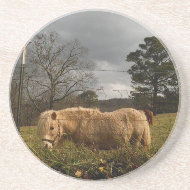 Blond Miniature Pony / Horse Sandstone Coaster (Front)