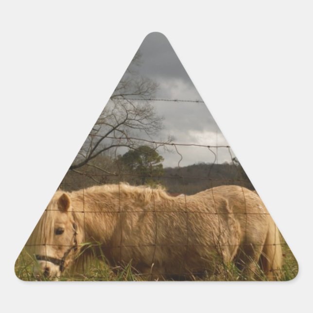 Blond Miniature Pony / Horse Triangle Sticker (Front)