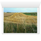 Blonde d'Aquitaine Cards (Inside Horizontal (Bottom))