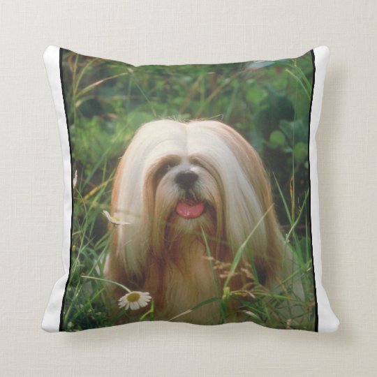 lhasa apso pillow