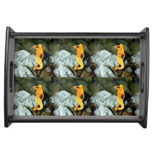 blonde lookout mermaid serving tray