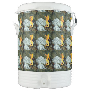 Blonde lookout mermaids beverage cooler