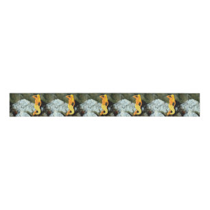 blonde lookout mermaids grosgrain ribbon