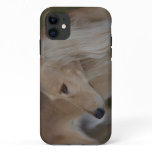 Blonde Saluki iPhone 11 Case