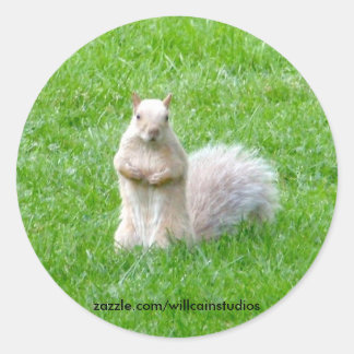 Blonde Squirrel Classic Round Sticker