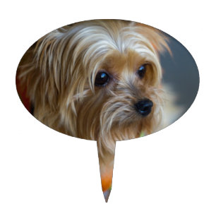 Blonde Yorkshire Terrier Cake Topper