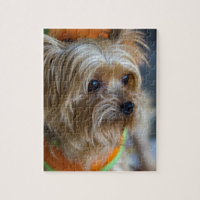 Blonde Yorkshire Terrier Jigsaw Puzzle (Vertical)
