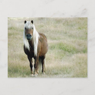 Blondes Have More Fun Postcard