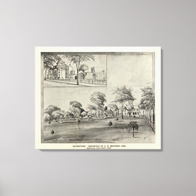 Blonstone, Westville Canvas Print (Front)