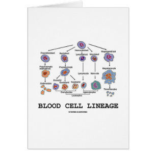 Blood Cell Lineage (Biology Health Medicine) Cards
