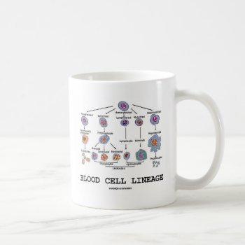 Blood Cell Lineage (biology Health Medicine) Coffee Mug by wordsunwords at Zazzle