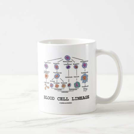Blood Cell Lineage (biology Health Medicine) Coffee Mug
