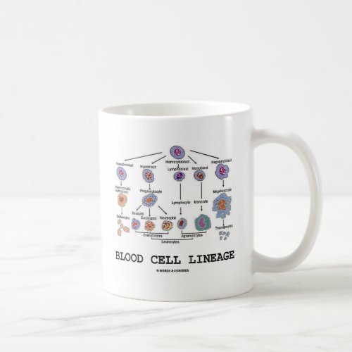 Blood Cell Lineage Biology Health Medicine Coffee Mug