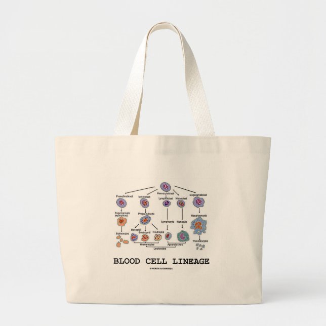 Blood Cell Lineage (Biology Health Medicine) Large Tote Bag (Front)