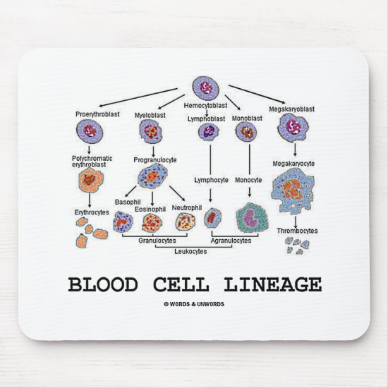 Blood Cell Lineage (Biology Health Medicine) Mouse Pad