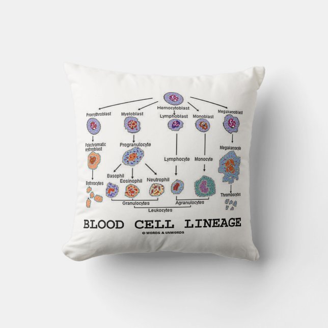 Blood Cell Lineage (Biology Health Medicine) Throw Pillow (Front)