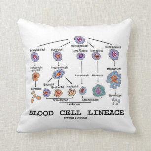 Blood Cell Lineage (Biology Health Medicine) Throw Pillow