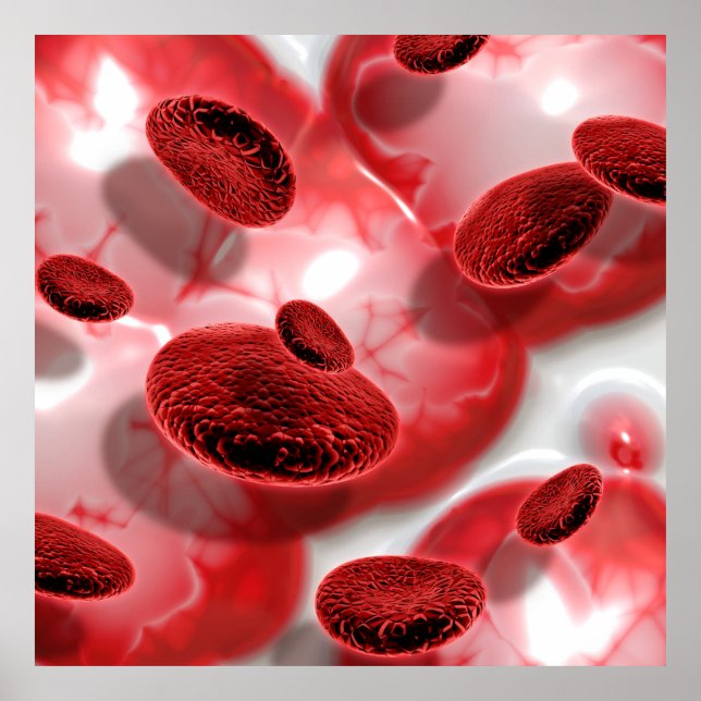 Blood Cells Poster (Front)