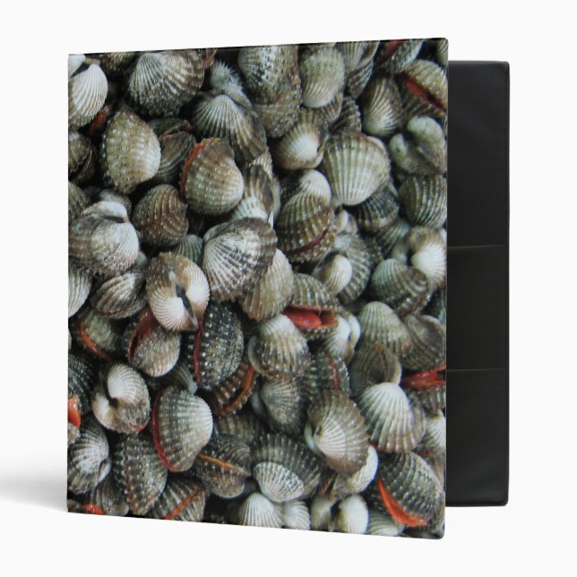 Blood Cockle Shells Binder (Front/Inside)