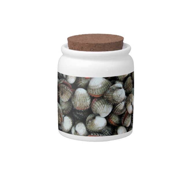 Blood Cockle Shells Candy Jar (Front)