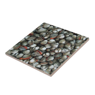Blood Cockle Shells Ceramic Tile