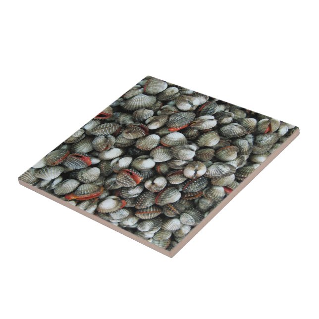 Blood Cockle Shells Ceramic Tile (Side)