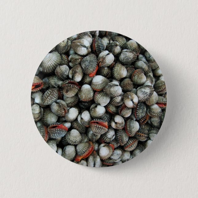 Blood Cockle Shells Pinback Button (Front)