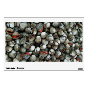 Blood Cockle Shells Wall Decal