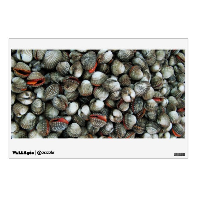 Blood Cockle Shells Wall Decal (Front)