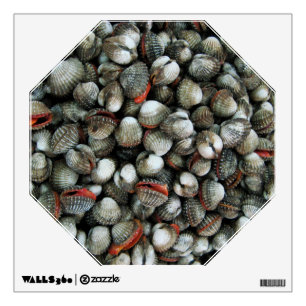 Blood Cockle Shells Wall Sticker