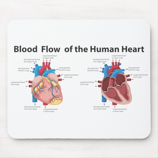Blood Flow of the Human Heart Mouse Pad (Front)