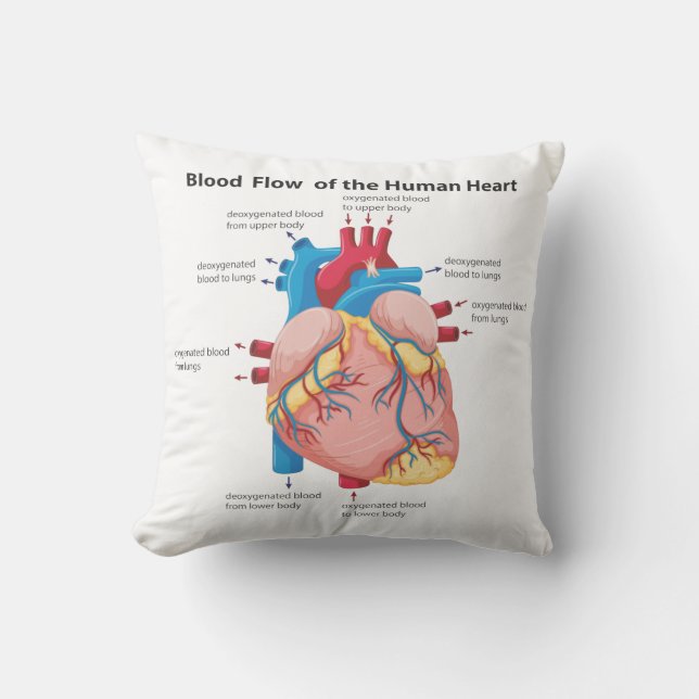 Blood Flow of the Human Heart Throw Pillow (Front)