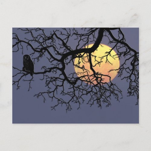 Blood Moon and Night Owl in Tree Silhouette Postcard