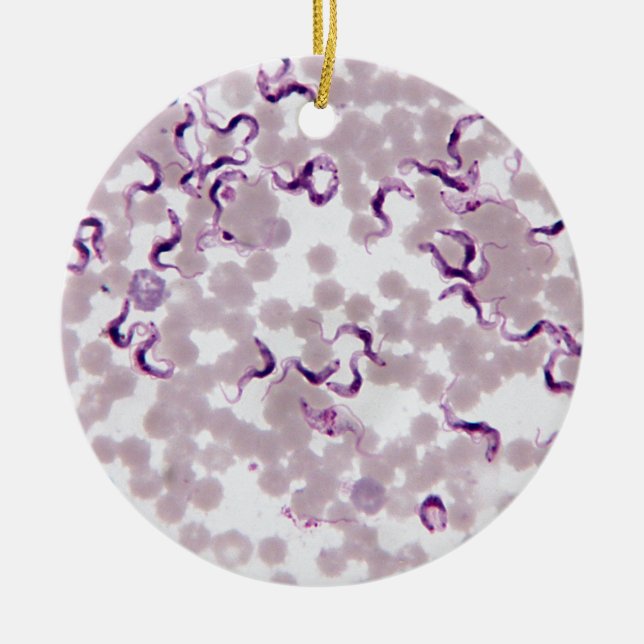 Blood Parasite Trypanosoma Ceramic Ornament (Front)