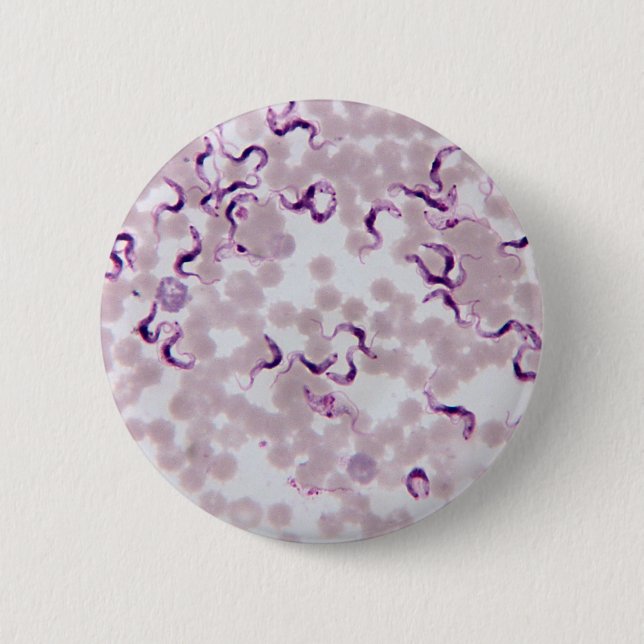 Blood Parasite Trypanosoma Pinback Button (Front)