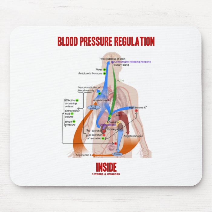 Blood Pressure Regulation Inside (Anatomical) Mousepads