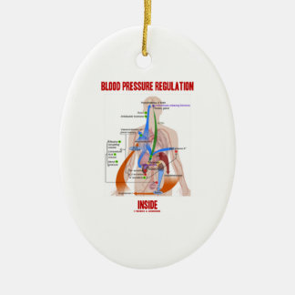 Blood Pressure Regulation Inside Physiology Ceramic Ornament