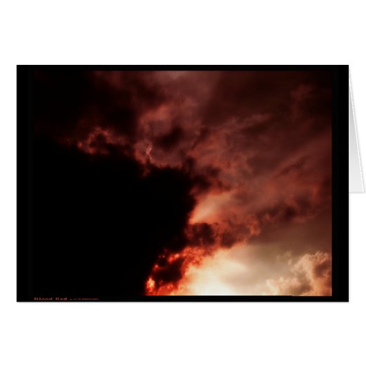 Blood Red (Card) Cards (Front Horizontal)